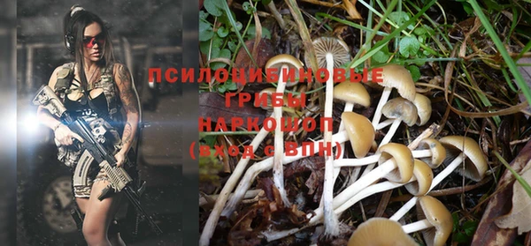 стафф Горнозаводск