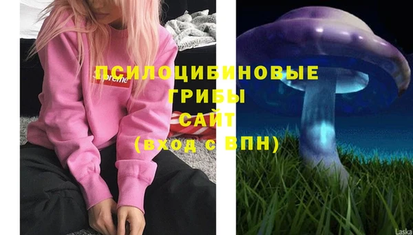 сатива Вязники